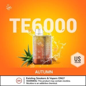 ELFBAR TE6000 vape in dubai